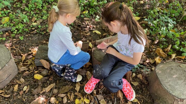Featured image for Year 3 Forest School