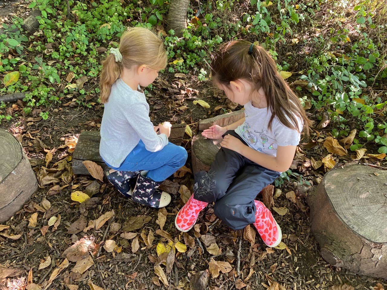 Header image for Year 3 Forest School