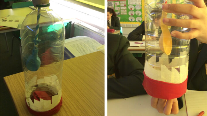 Featured image for Science - Model Lungs