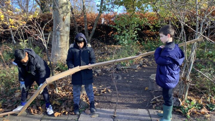 Featured image for Forest School - Apples & Trees