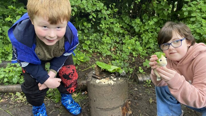 Featured image for Forest School