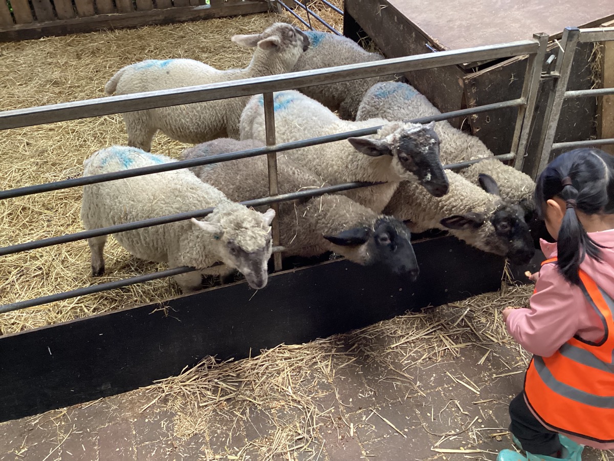Header image for Nursery at Ash End Farm