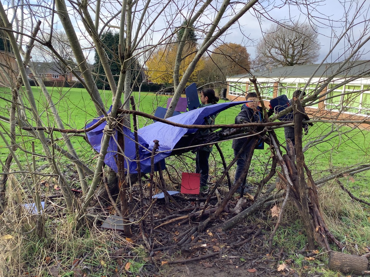 Header image for Forest School