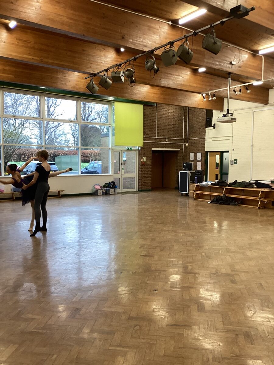 Header image for Elmhurst Ballet Company Workshop