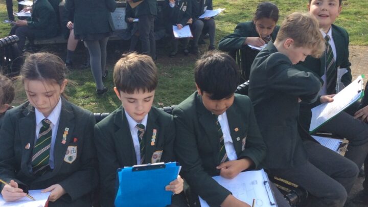 Featured image for Geography Fieldwork