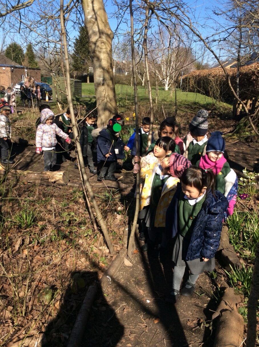 Header image for Spring Walk