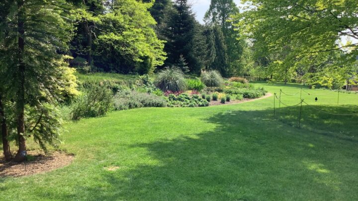 Featured image for Trip to the Botanical Gardens