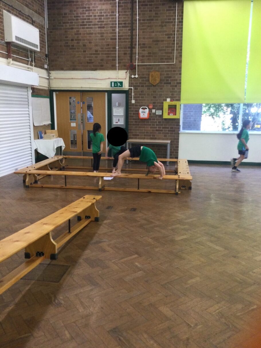 Header image for P.E: Developing point and patch balances on apparatus