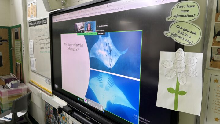 Featured image for Year 3 Manta Ray session!