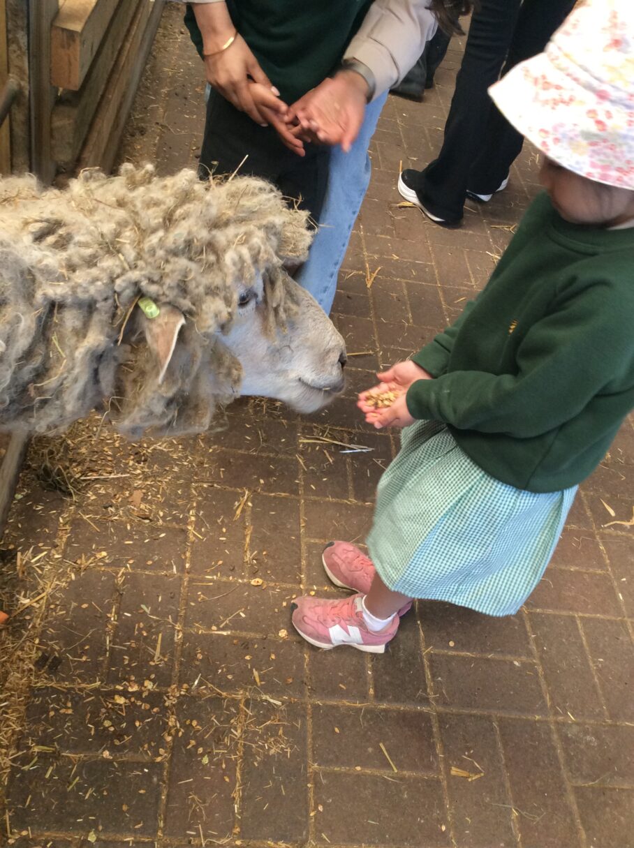 Header image for Ash End Farm